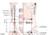 腹结-解剖图