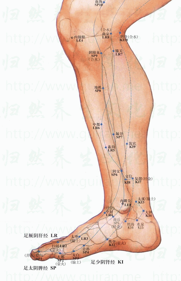 膝关-体表图