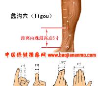 蠡沟-体表示意图