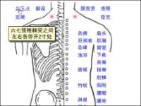 血压点-体表示意图