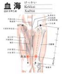 血海-解剖图
