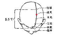 通天-体表示意图