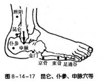 金门-体表示意图