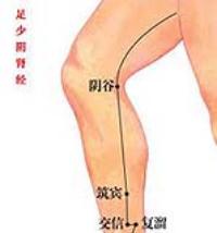 阴谷-解剖图 阴谷-体表示意图