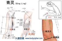 青灵-断层解剖图 青灵-解剖图