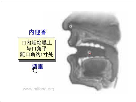 颊里-体表示意图