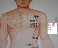 食窦-解剖图 食窦-体表示意图